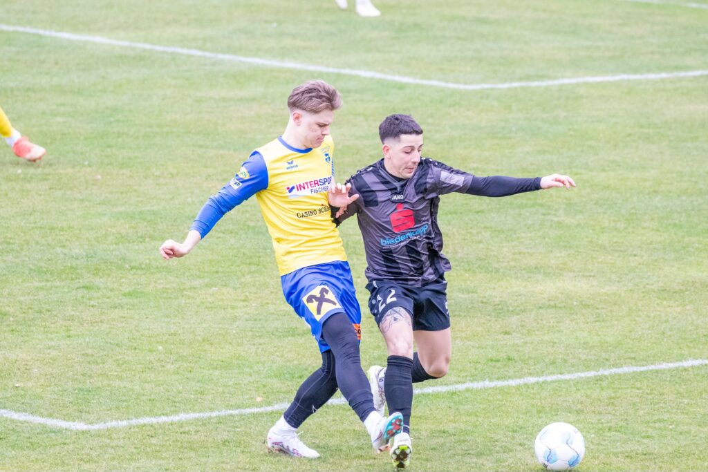 Fabian Sallmayer
