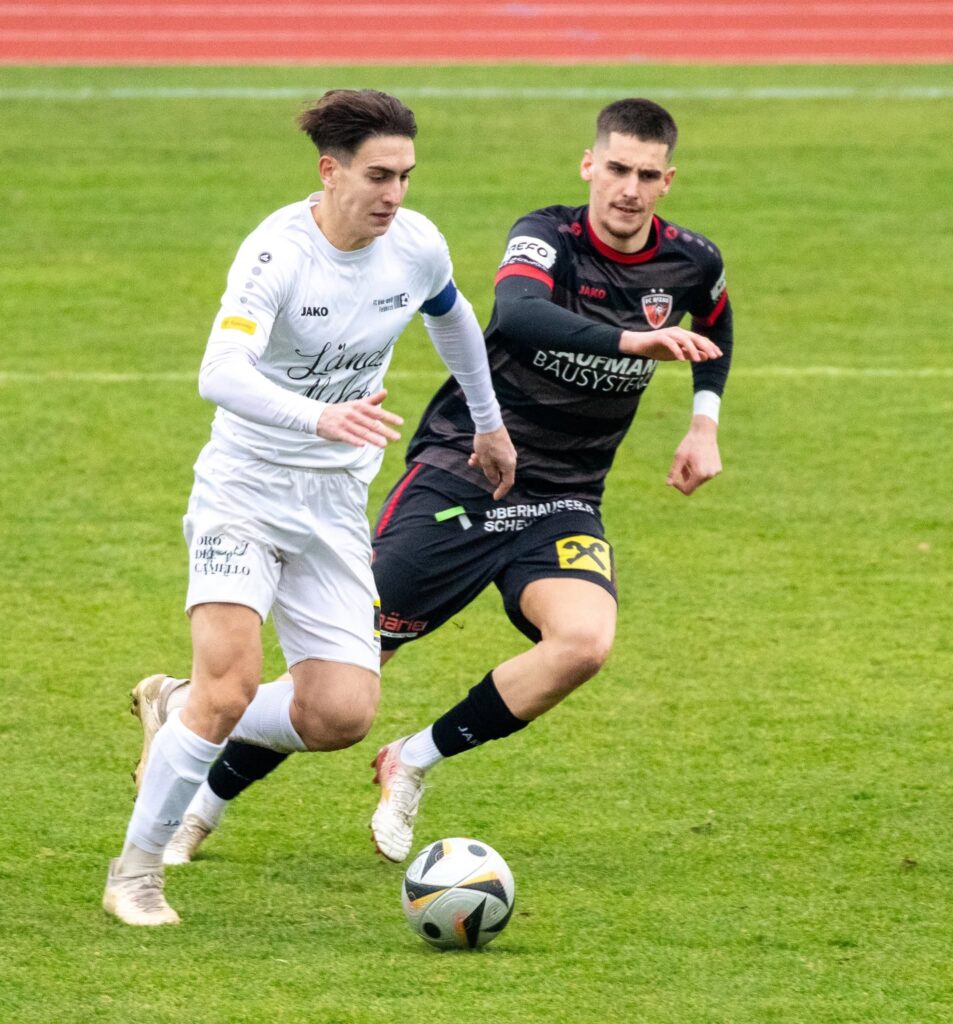 Nebojsa Spasojevic