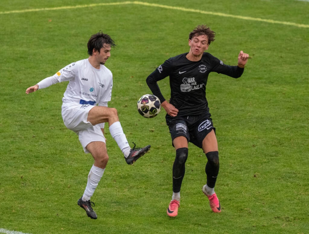 Nikola Knestel